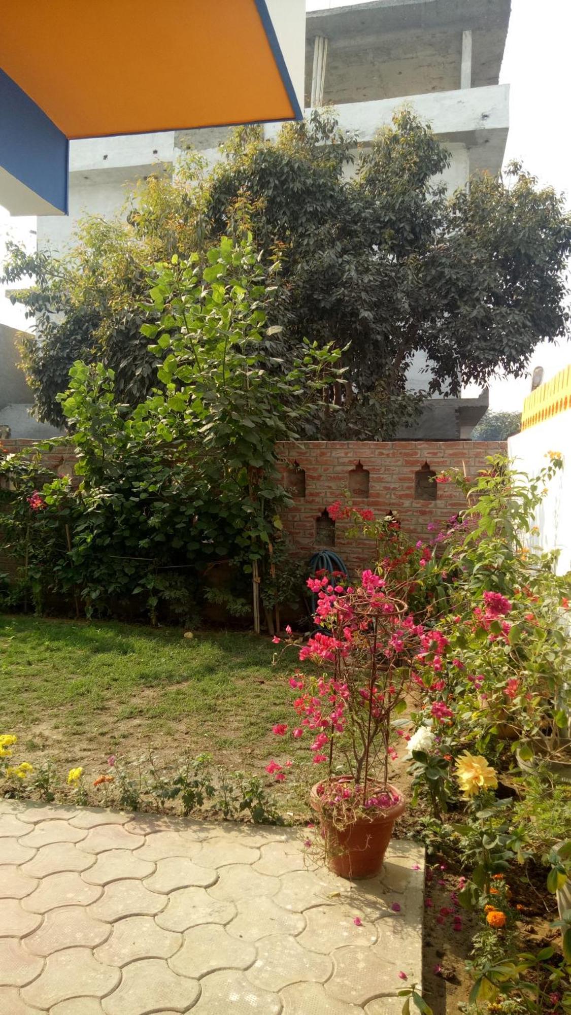 Coral Country Homestay Agra  Eksteriør billede