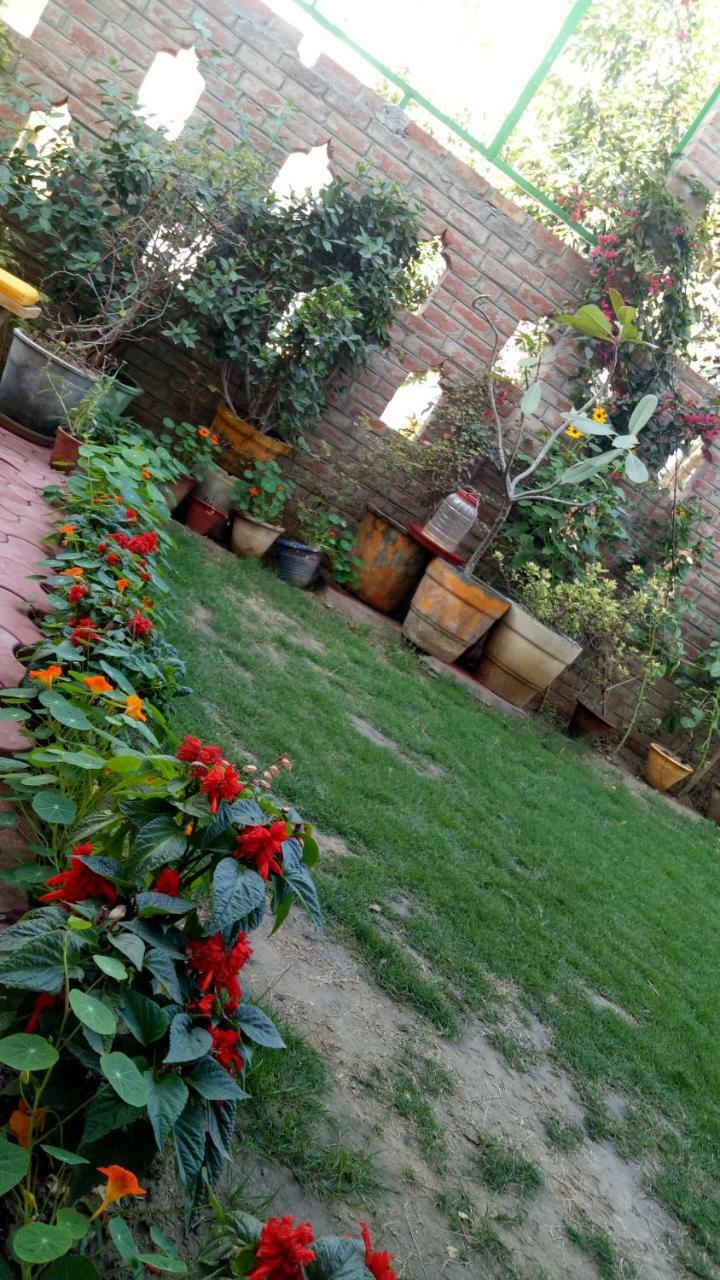 Coral Country Homestay Agra  Eksteriør billede